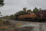 BNSF 5529